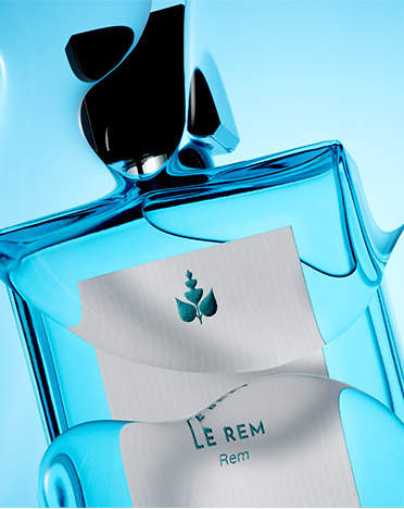 Le Rem Reminiscence Le Rem Reminiscence