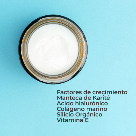 CAIXA SEGLE SKIN FACTOR