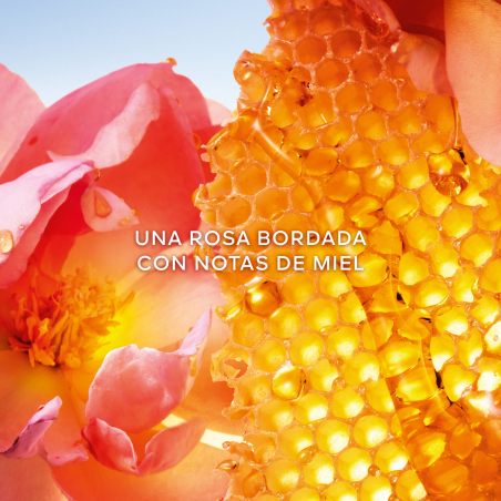 La Petite Robe Noire Honey Rose Eau de Parfum Edição Limitada