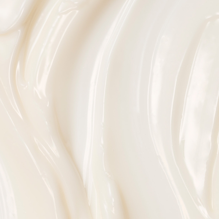 ABSOLUTE SILK Illuminative Crème 40ml