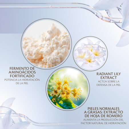 Hydro-clarifying Essence Lotion