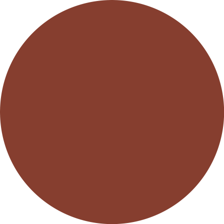 Colour Cushion Juicy Lip Oil