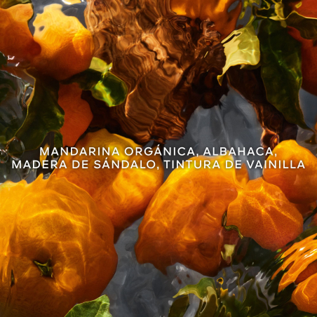 Caixa Aqua Allegoria Forte Mandarine Basilic Eau de Parfum