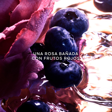 Caixa La Petite Robe Noire Eau de Parfum Intense