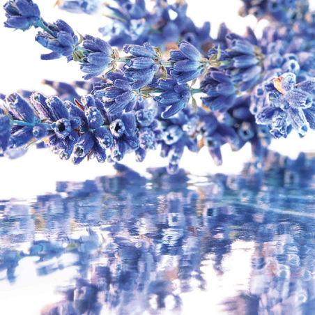 Caixa Mon Guerlain Eau de Parfum