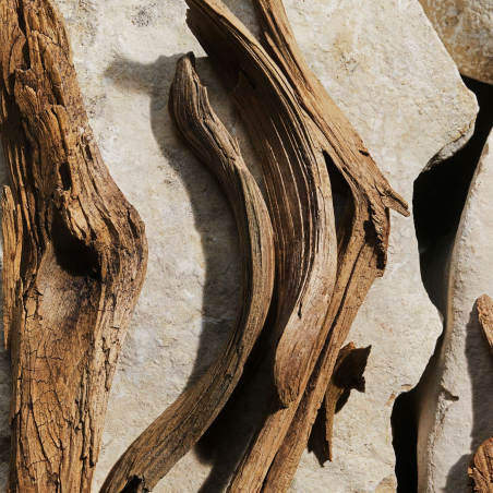 Caixa Light Blue Eau de Toilette & Travel Size