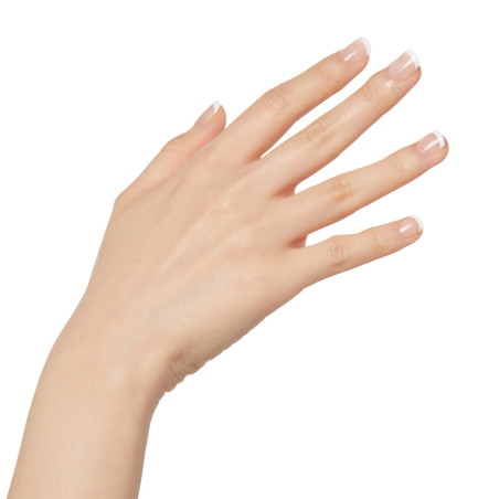 Salon Acrylic FN Kit