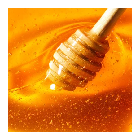 Rossetto Idratante Reve De Miel