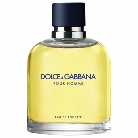 Perfume Pour Homme Eau de Toilette Dolce&Gabbana | Beauty Júlia