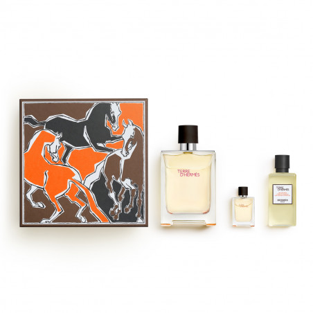 TERRE D'HERMES Cofre Eau de Toilette V100ml