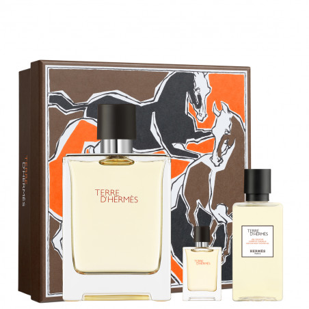 TERRE D'HERMES Cofre Eau de Toilette V100ml