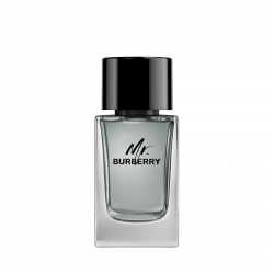 MR BURBERRY EDT V