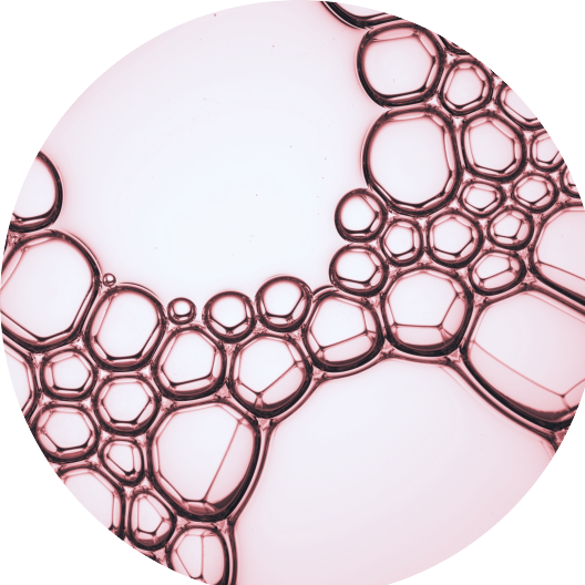 ingrediente L-ornithine Aminoacid Age Filler Júlia Bonet