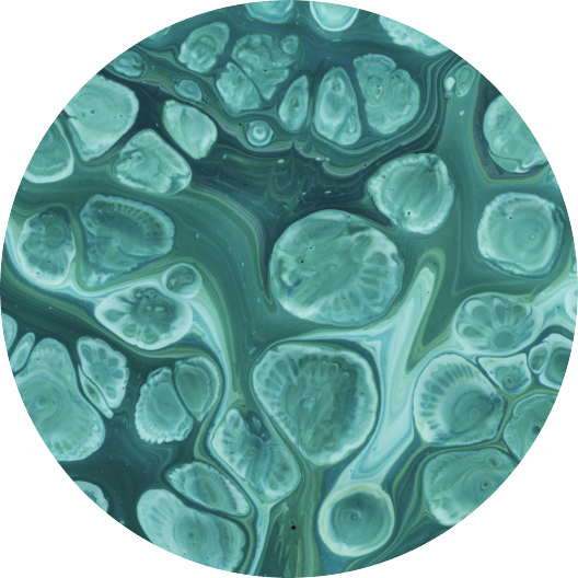 ingrediente Bio Complex GF5 Júlia Gold