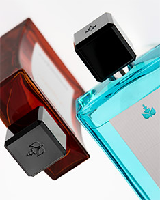 Les Iconiques Reminiscence