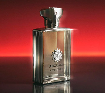 Perfumes para o Dia do Pai com notas amadeiradas Perfumes para o Dia do Pai com notas amadeiradas